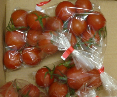 tomato.JPG